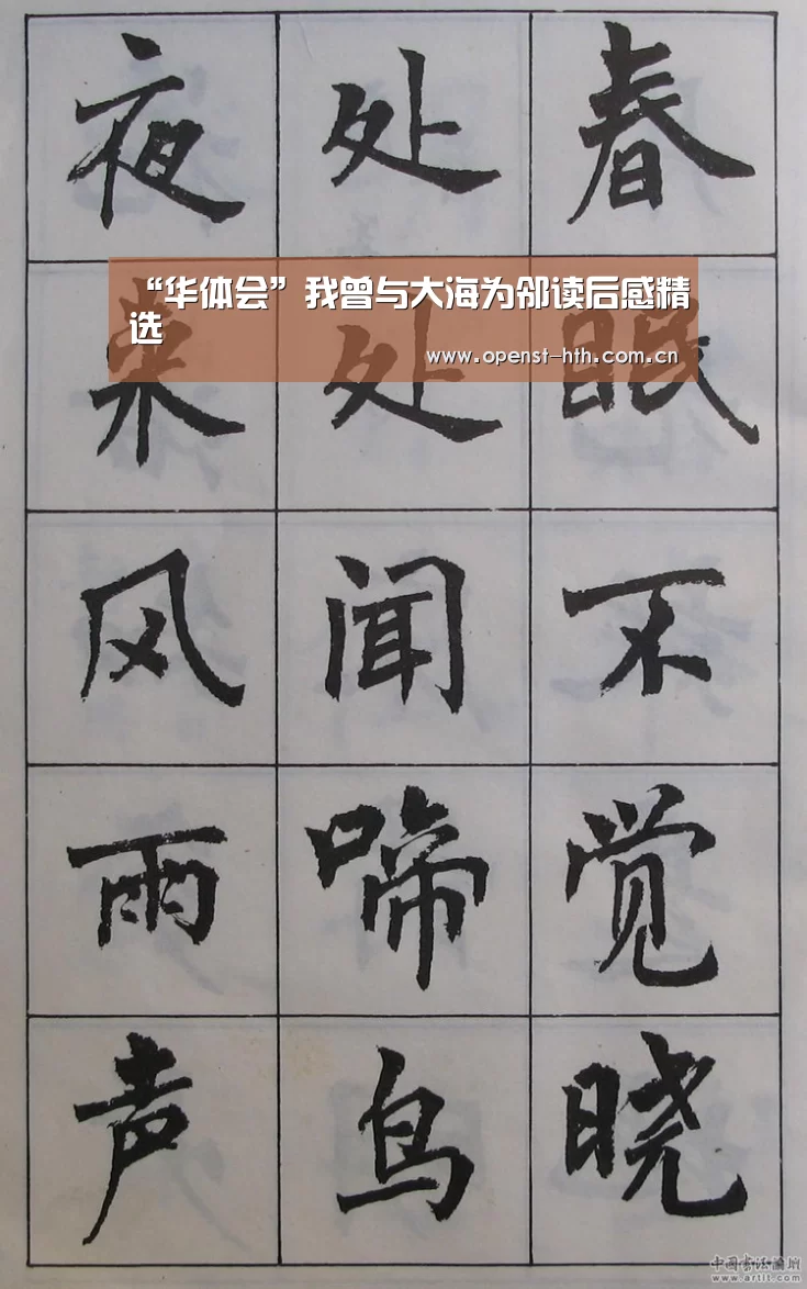 “华体会”我曾与大海为邻读后感精选(图1) 华体会官方