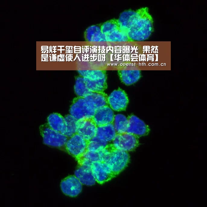 华体会官网