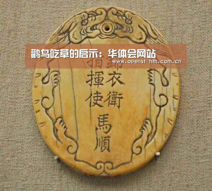 鹳鸟吃草的启示:华体会网站(图2) 华体会官方