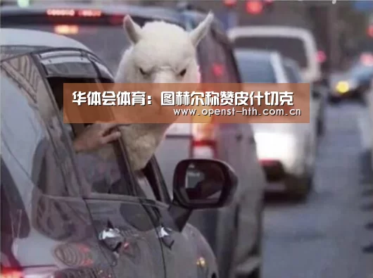华体会