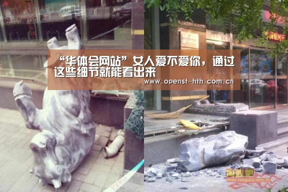 华体会官网