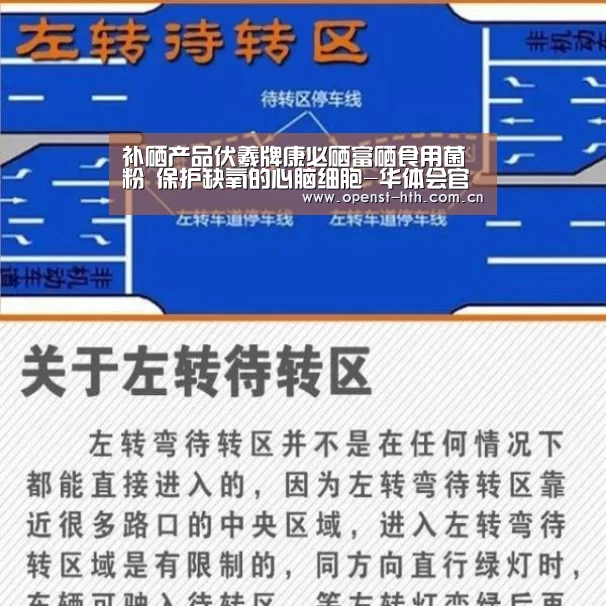 华体会网站