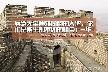 辱骂无辜遇难同胞的人渣,你们是畜生都不如的蛆虫!-华体会(图4) 华体会官网