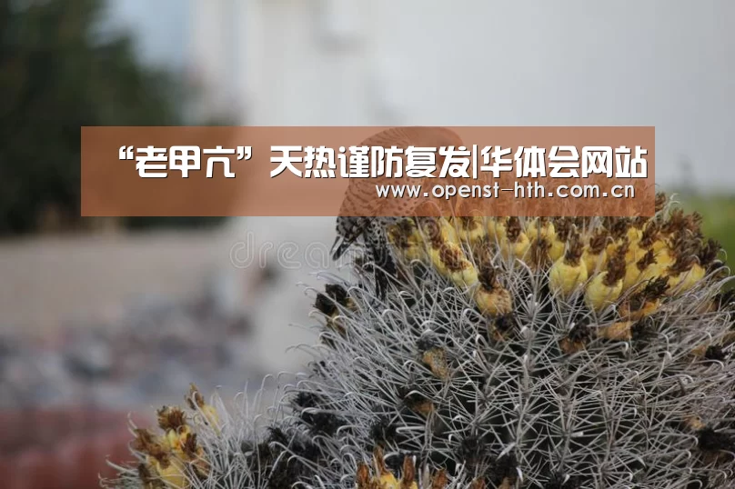 “老甲亢”天热谨防复发|华体会网站(图1) 华体会