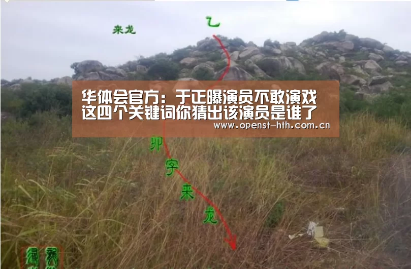 华体会