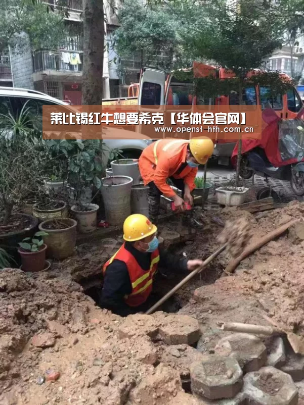 莱比锡红牛想要希克【华体会官网】(图1) 华体会