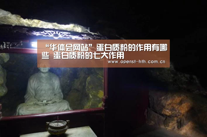 “华体会网站”蛋白质粉的作用有哪些 蛋白质粉的七大作用(图2) 华体会官方