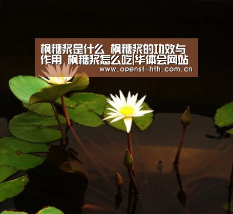 枫糖浆是什么 枫糖浆的功效与作用 枫糖浆怎么吃|华体会网站(图1) 华体会