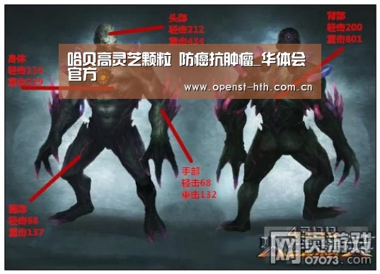 华体会体育