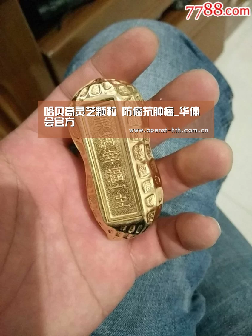 华体会体育